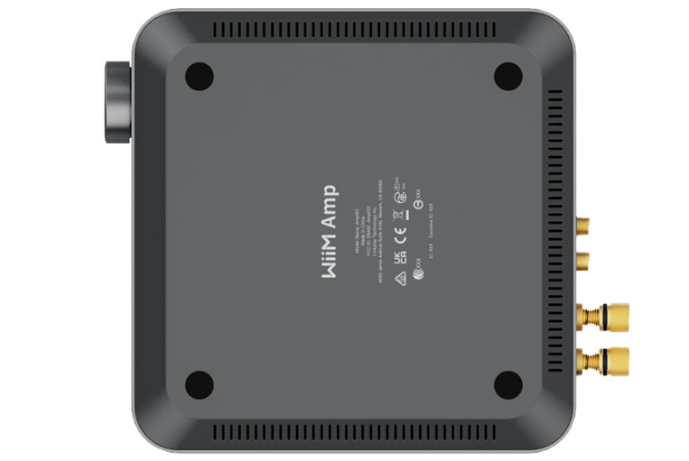 WiiM Amp