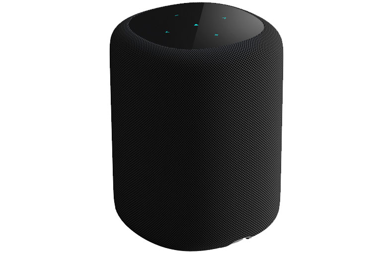 WiiM Sound Speaker in Black