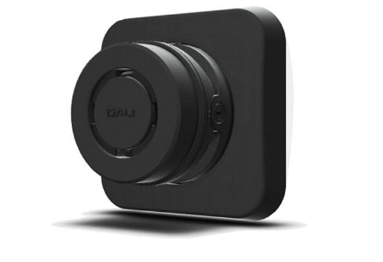 Dali Gardian OW6 Garden Speakers