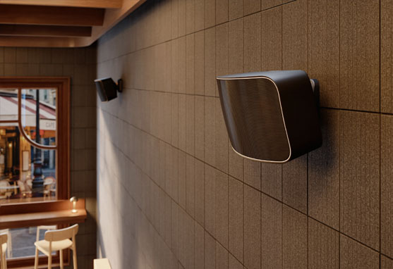 Dali Gardian OW6 Garden Speakers
