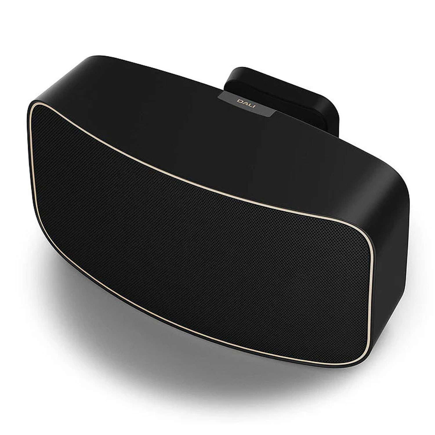 Dali Gardian OW6 Garden Speakers