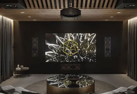 Dali Sub P-10DSS Subwoofer