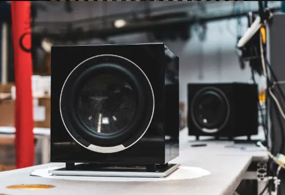 Dali Sub P-10DSS Subwoofer