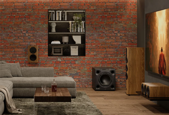 Dali Sub V-16F Subwoofer