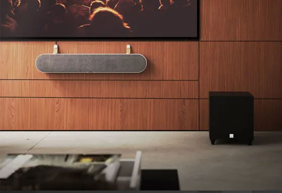 Dali Sub C-8D Subwoofer